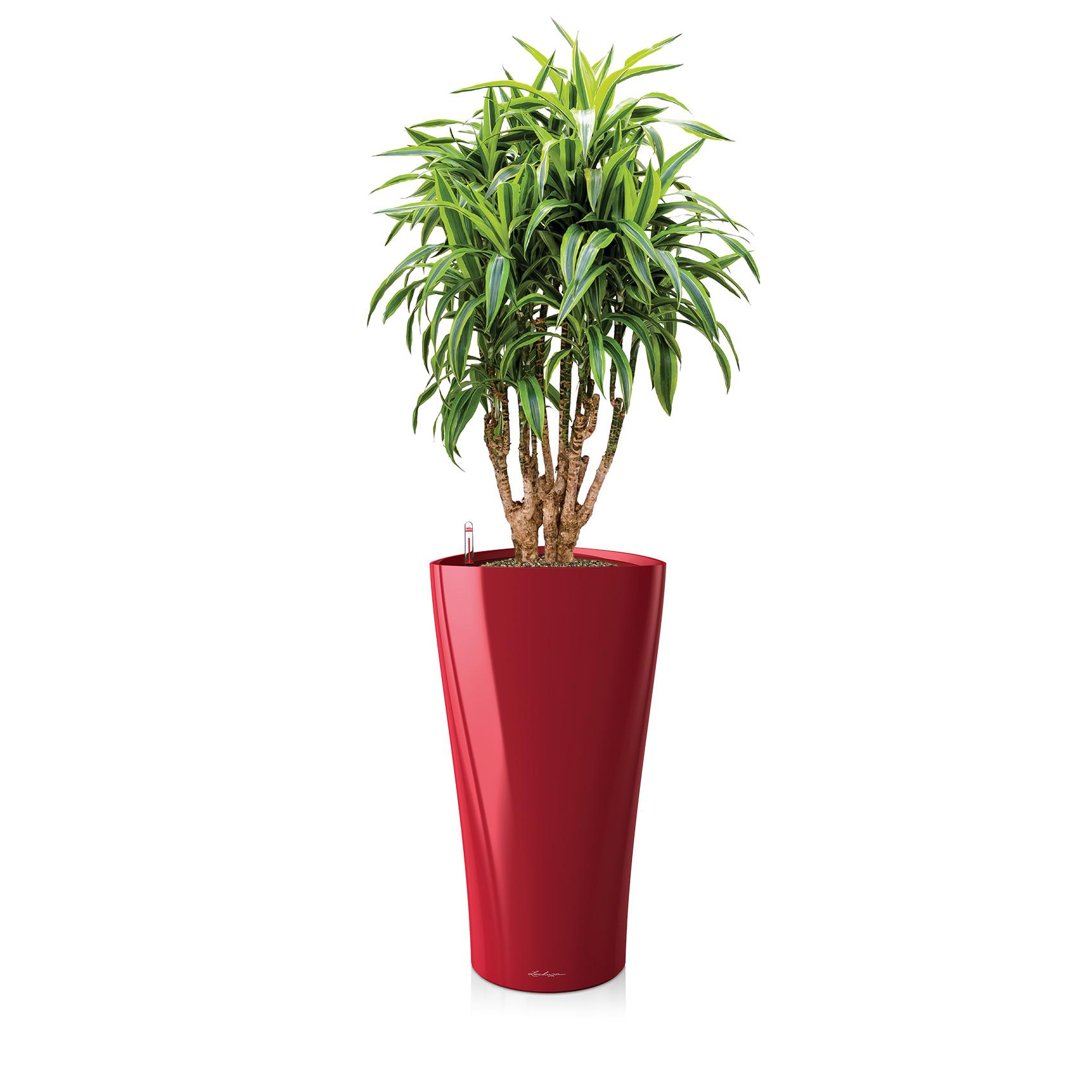 DELTA 30 scarlet red high-gloss
